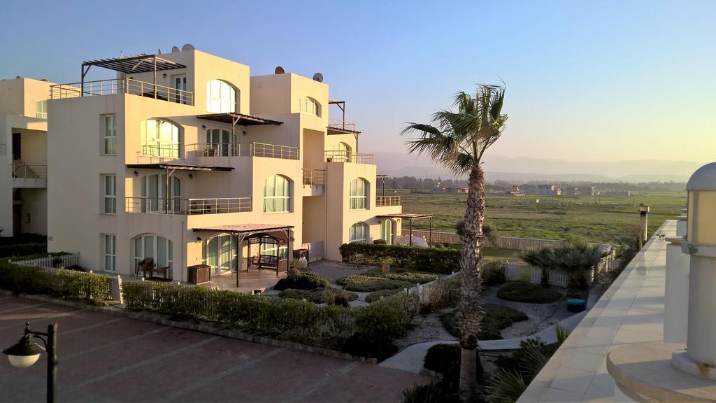 Aphrodite Beachfront Penthouse Apartment Ghaziveran Luaran gambar