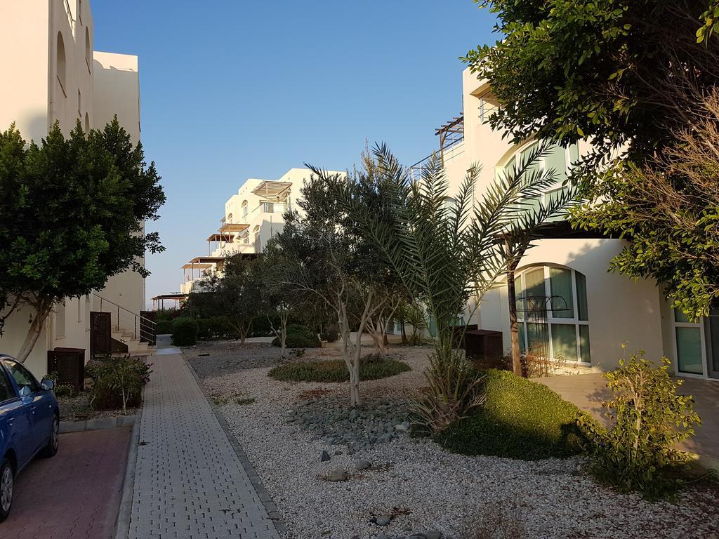 Aphrodite Beachfront Penthouse Apartment Ghaziveran Luaran gambar